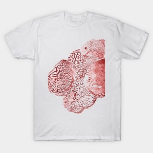 red discus fishes T-Shirt